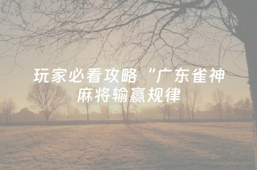 玩家必看攻略“广东雀神麻将输赢规律（专用辅牌神器免安装）