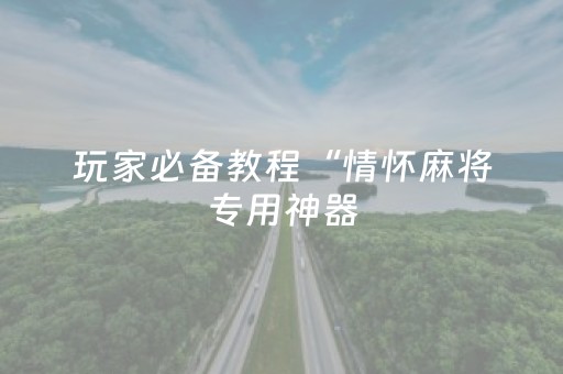 玩家必备教程“情怀麻将专用神器（专用辅牌神器免安装）