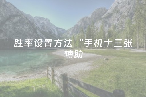 胜率设置方法“手机十三张辅助（专用辅牌神器免安装）