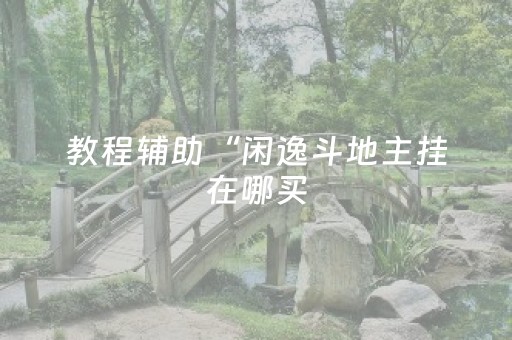 教程辅助“闲逸斗地主挂在哪买（专用辅牌神器免安装）