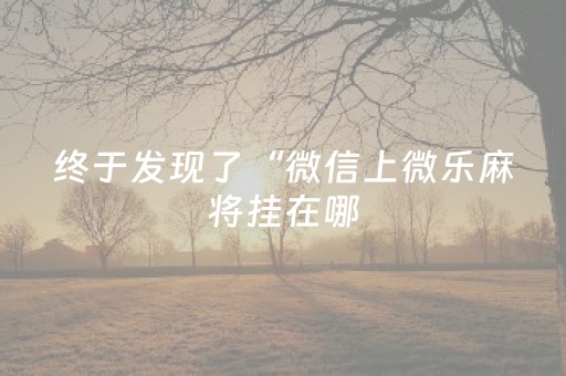 终于发现了“微信上微乐麻将挂在哪（专用辅牌神器免安装）