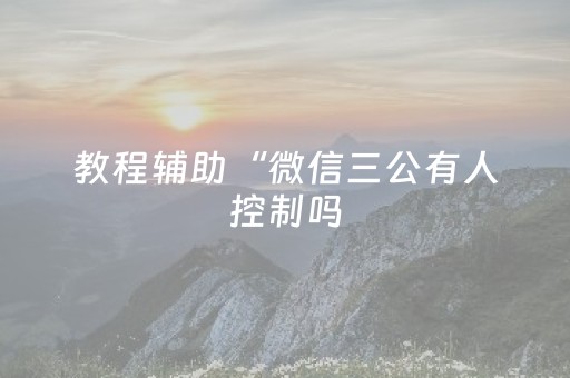 教程辅助“微信三公有人控制吗（专用辅牌神器免安装）