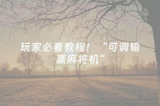 玩家必看教程！“可调输赢麻将机”（详细透视教程）-哔哩哔哩