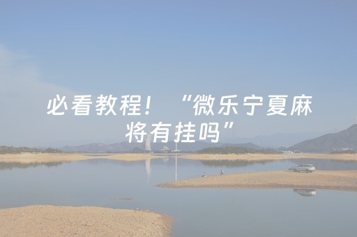 必看教程！“微乐宁夏麻将有挂吗”（详细开挂教程）-哔哩哔哩