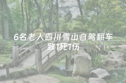 胜率设置方法“雀神广东麻将助赢神器”（详细透视教程）-哔哩哔哩