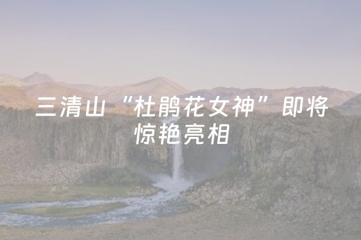 教程辅助“陌陌群红包秒挂哪里有”（详细透视教程）-哔哩哔哩