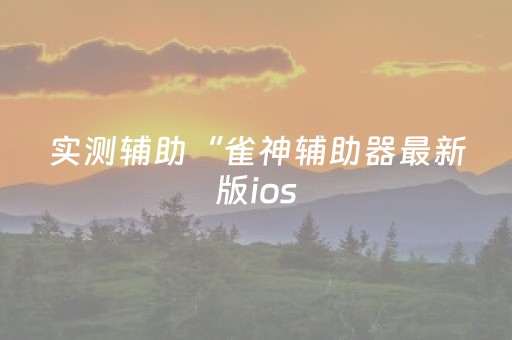 实测辅助“雀神辅助器最新版ios（助赢神器通用版）