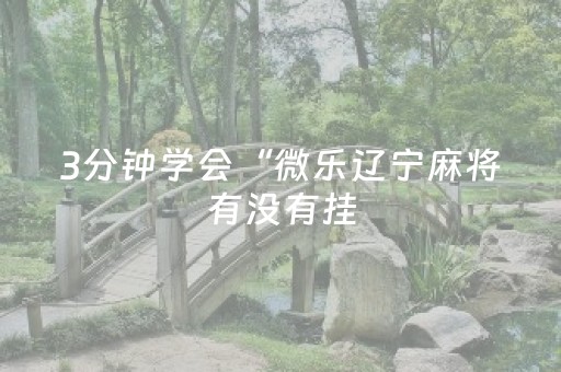 3分钟学会“微乐辽宁麻将有没有挂（专用辅牌神器免安装）