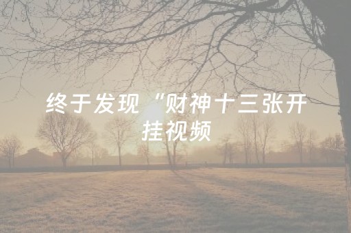 终于发现“财神十三张开挂视频（专用辅牌神器免安装）