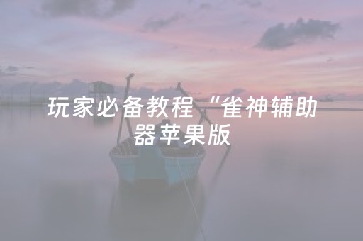 玩家必备教程“雀神辅助器苹果版（专用辅牌神器免安装）