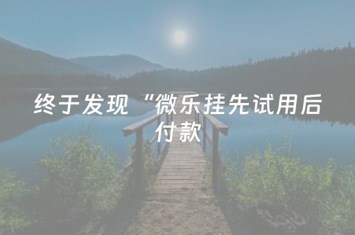 终于发现“微乐挂先试用后付款（助赢神器通用版）