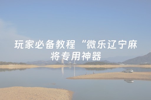 玩家必备教程“微乐辽宁麻将专用神器（助赢神器通用版）