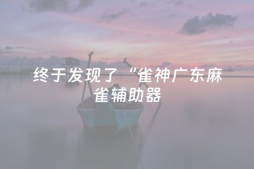 终于发现了“雀神广东麻雀辅助器（专用辅牌神器免安装）