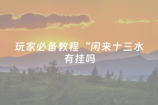 玩家必备教程“闲来十三水有挂吗（专用辅牌神器免安装）