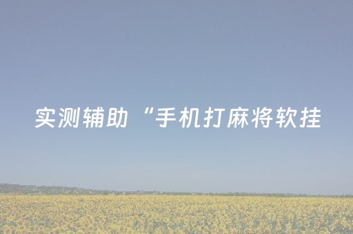 实测辅助“手机打麻将软挂（专用辅牌神器免安装）