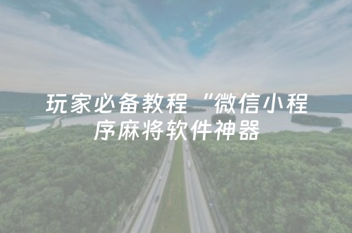 玩家必备教程“微信小程序麻将软件神器（助赢神器通用版）