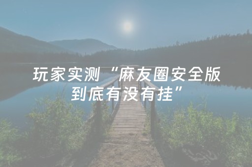 玩家实测“麻友圈安全版到底有没有挂”（详细透视教程）-哔哩哔哩