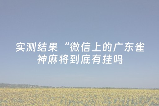 实测结果“微信上的广东雀神麻将到底有挂吗（助赢神器通用版）