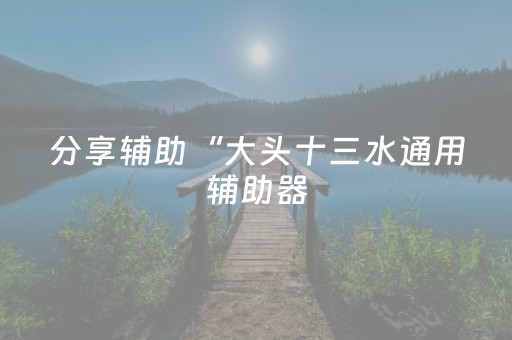 分享辅助“大头十三水通用辅助器（助赢神器通用版）