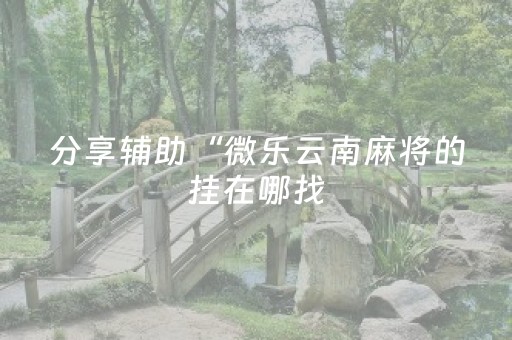 分享辅助“微乐云南麻将的挂在哪找（专用辅牌神器免安装）