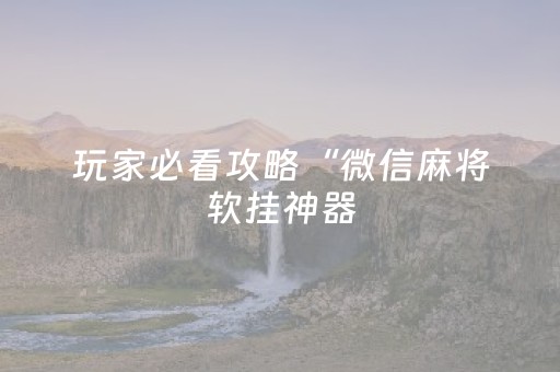 玩家必看攻略“微信麻将软挂神器（专用辅牌神器免安装）