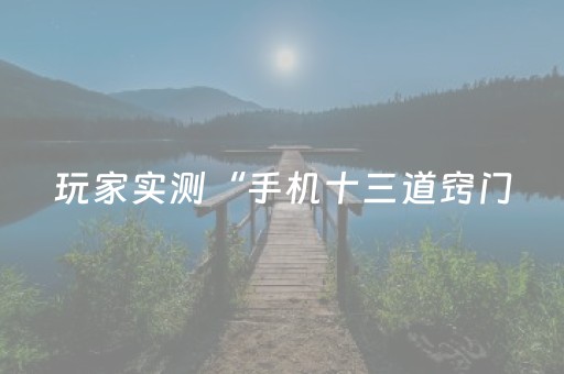 玩家实测“手机十三道窍门（专用辅牌神器免安装）