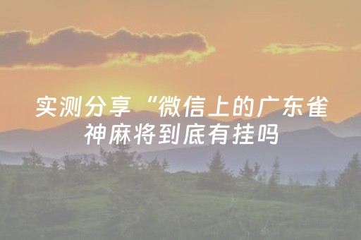 实测分享“微信上的广东雀神麻将到底有挂吗（专用辅牌神器免安装）