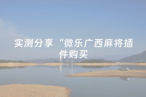 实测分享“微乐广西麻将插件购买（专用辅牌神器免安装）