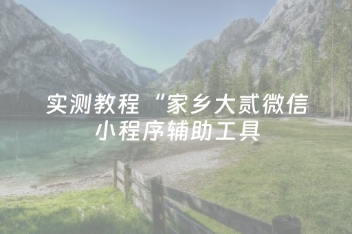 实测教程“家乡大贰微信小程序辅助工具（专用辅牌神器免安装）