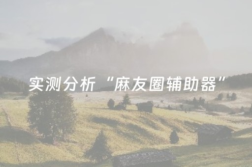 实测分析“麻友圈辅助器”（详细开挂教程）-哔哩哔哩