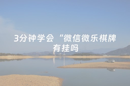 3分钟学会“微信微乐棋牌有挂吗（助赢神器通用版）