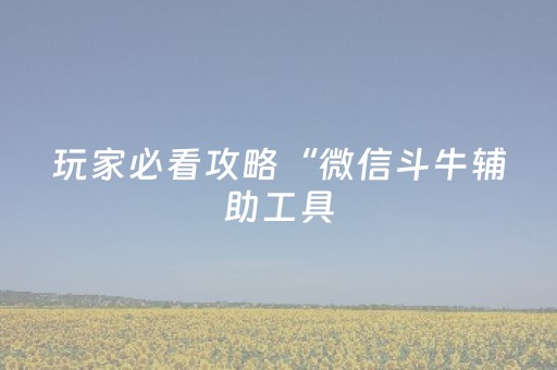 玩家必看攻略“微信斗牛辅助工具（专用辅牌神器免安装）