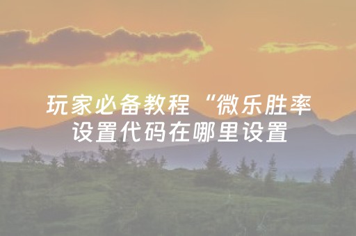 玩家必备教程“微乐胜率设置代码在哪里设置（助赢神器通用版）
