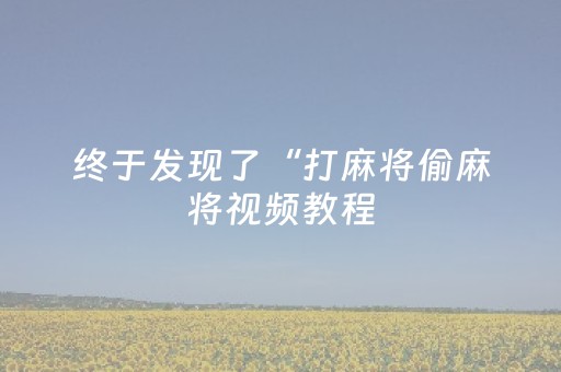 终于发现了“打麻将偷麻将视频教程（助赢神器通用版）