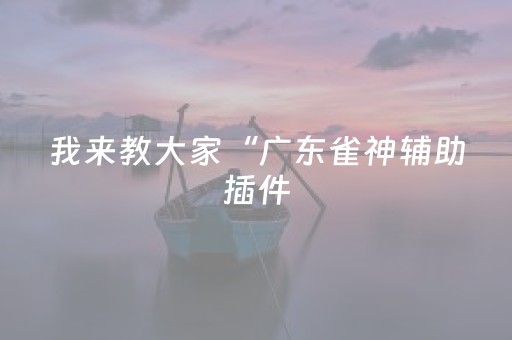 我来教大家“广东雀神辅助插件（专用辅牌神器免安装）