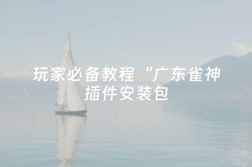 玩家必备教程“广东雀神插件安装包（助赢神器通用版）