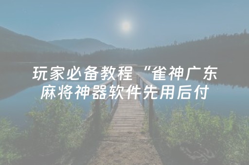 玩家必备教程“雀神广东麻将神器软件先用后付（助赢神器通用版）