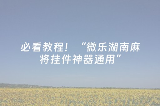 必看教程！“微乐湖南麻将挂件神器通用”（详细辅助教程）-哔哩哔哩