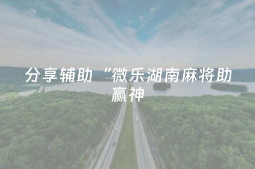分享辅助“微乐湖南麻将助赢神（专用辅牌神器免安装）
