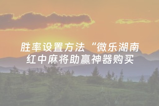 胜率设置方法“微乐湖南红中麻将助赢神器购买（专用辅牌神器免安装）