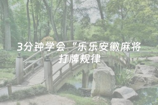 3分钟学会“乐乐安徽麻将打牌规律（助赢神器通用版）