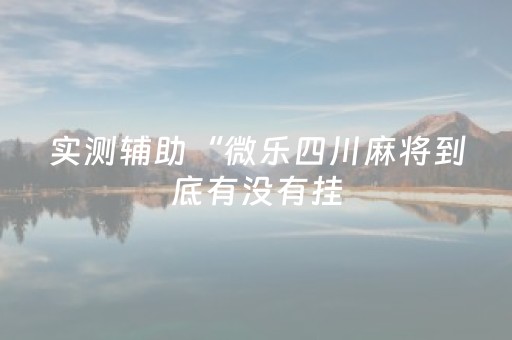 实测辅助“微乐四川麻将到底有没有挂（专用辅牌神器免安装）
