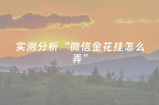 实测分析“微信金花挂怎么弄”（详细透视教程）-哔哩哔哩