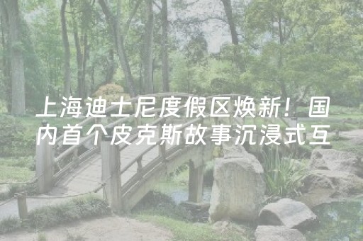 终于发现“手机金花透明辅助插件（专用辅牌神器免安装）