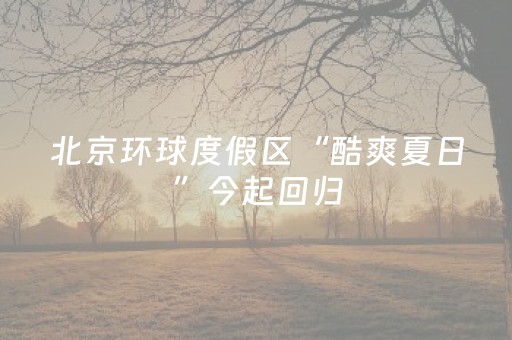 实测辅助“微乐陕西挖坑助赢神器（专用辅牌神器免安装）
