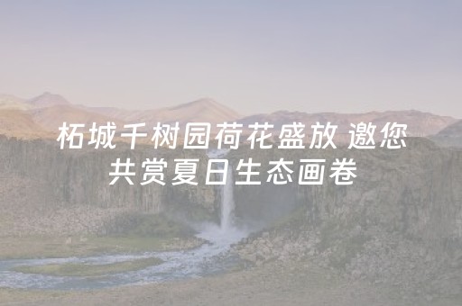 分享辅助“微信红包5个包尾数是不是能控制大小”（详细透视教程）-哔哩哔哩