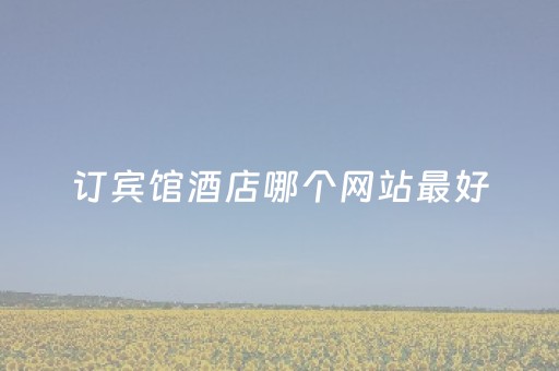 订宾馆酒店哪个网站最好（怎样从网上订宾馆）