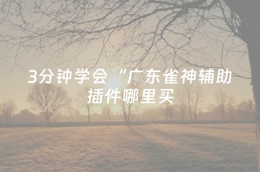 3分钟学会“广东雀神辅助插件哪里买（专用辅牌神器免安装）