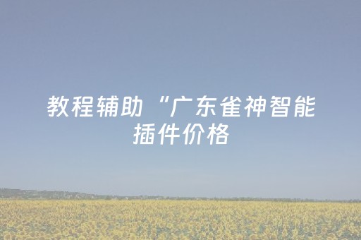 教程辅助“广东雀神智能插件价格（助赢神器通用版）