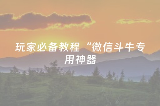 玩家必备教程“微信斗牛专用神器（专用辅牌神器免安装）